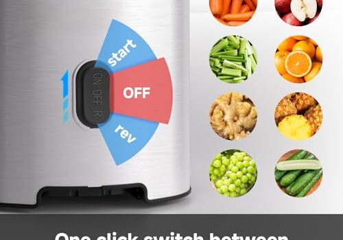 Best Stainless Steel Juicer