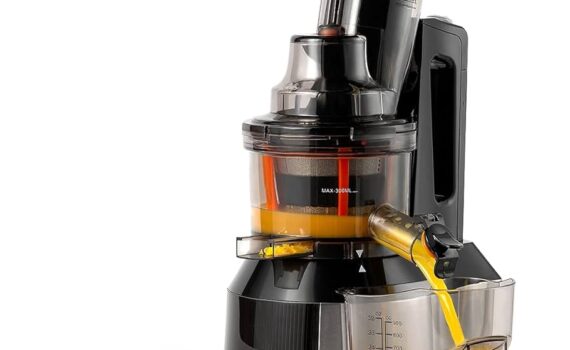 Ventray Juicer Review